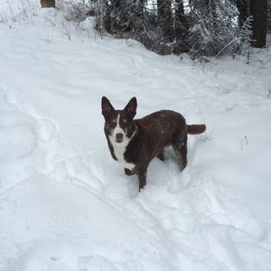 Meet your Posher, Gary